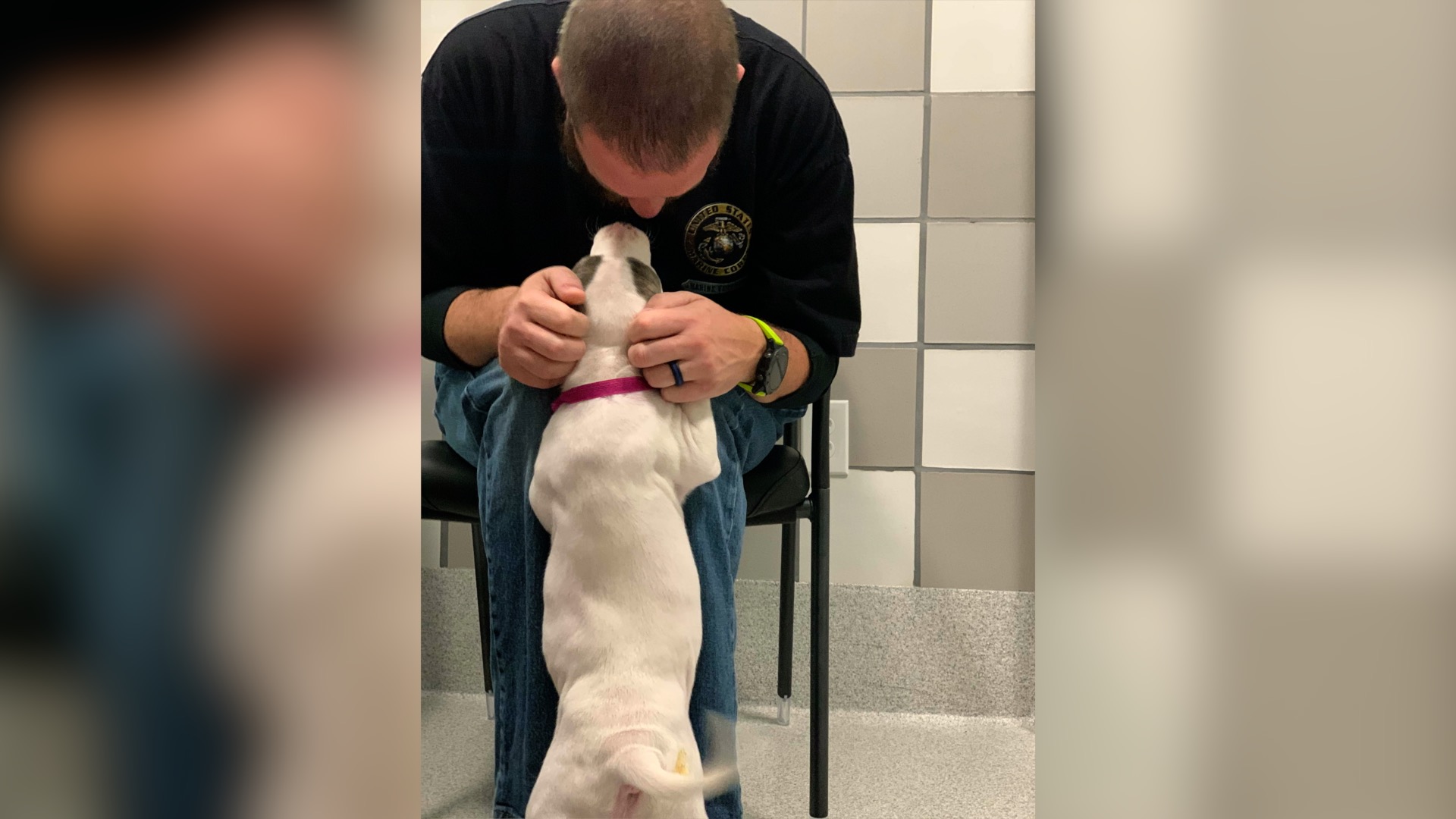 11-11-20 veteran's day adoptions.jpg