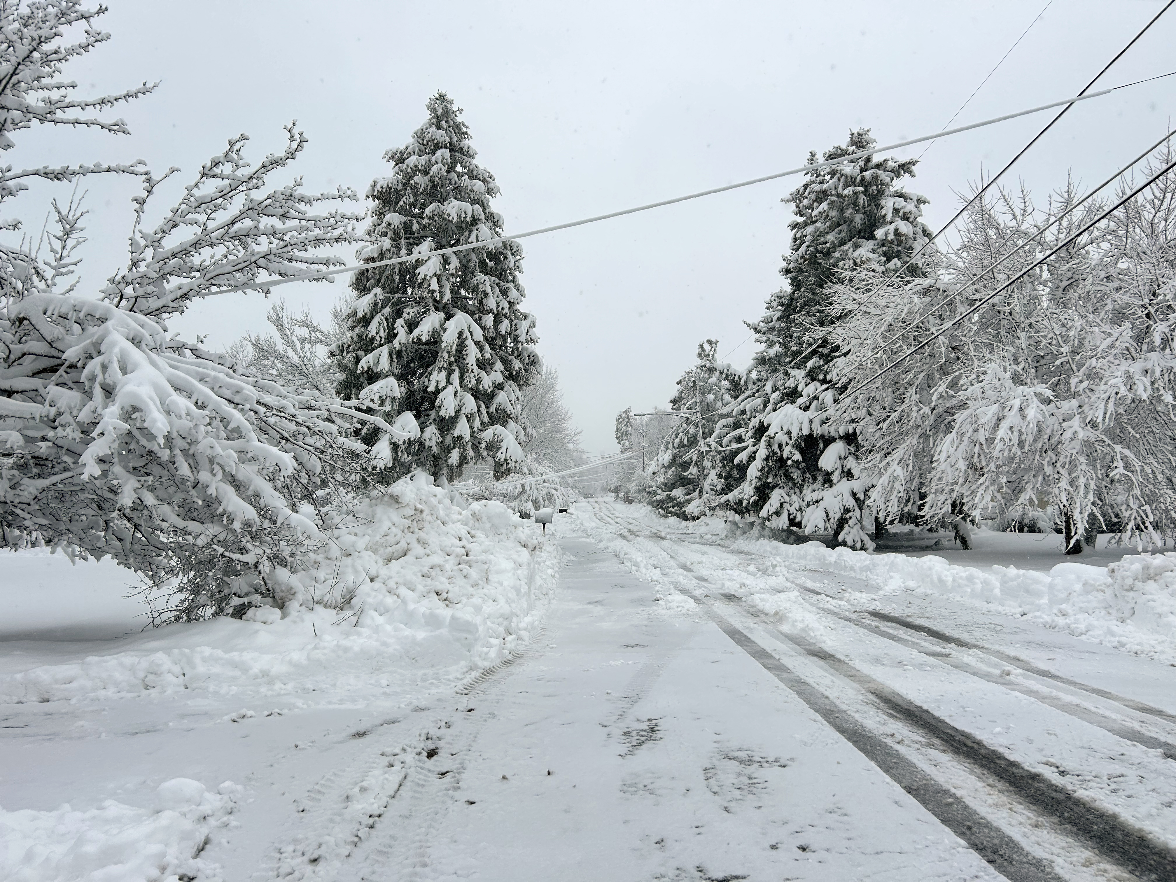 Winter snowstorm hits Lakewood on March 14, 2024