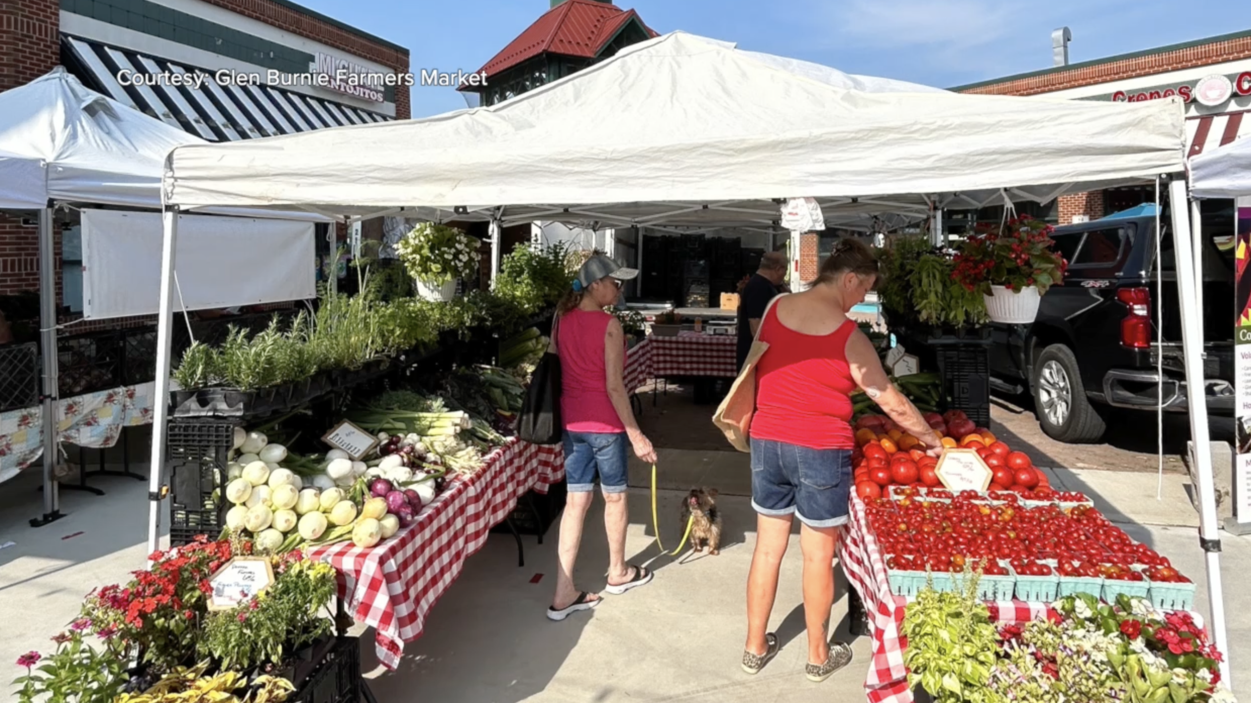 Glen Burnie Farmer's Market.png