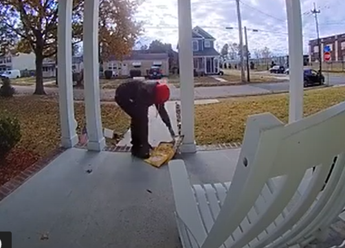 porch pirate