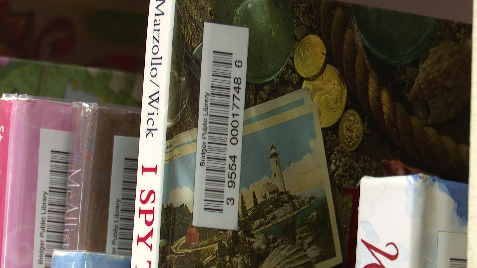 Rural Montana libraries remain positive after state leaves national organization - Vimarsana News
