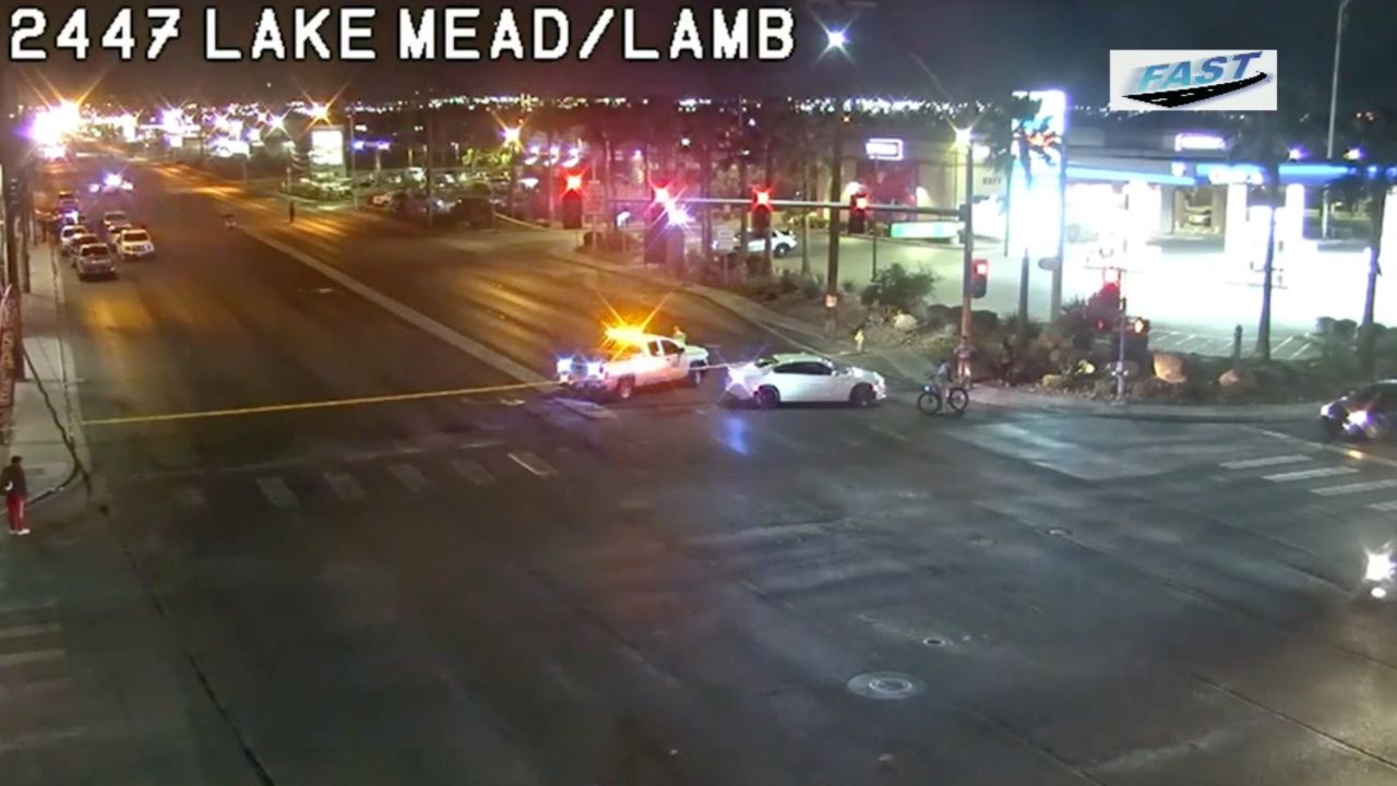 Fatal Lake Mead Lamb