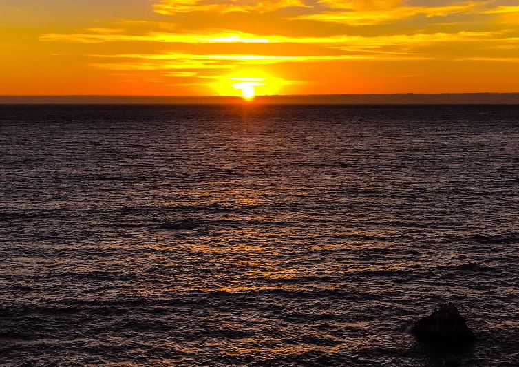 teri hunter 1124200.JPG