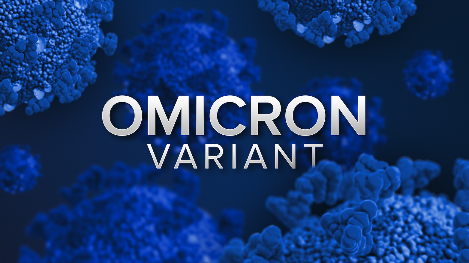 COVID-19 Omicron Variant (FILE)