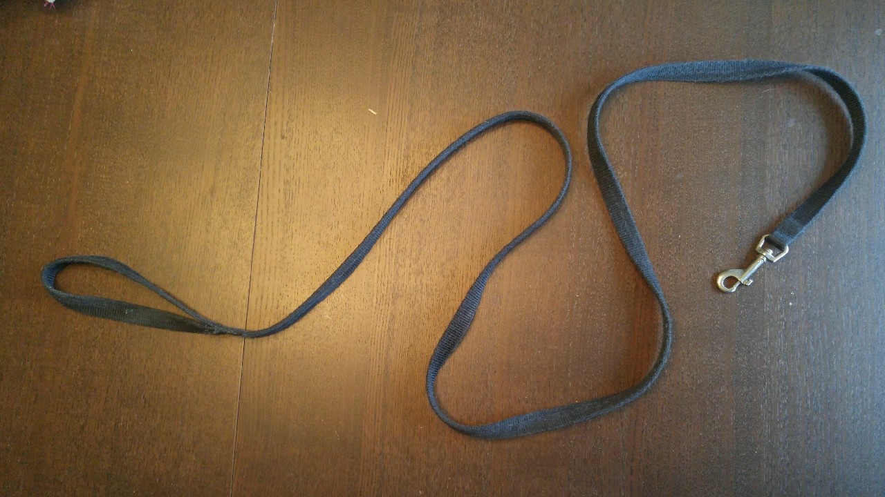 Dog leash.jpg