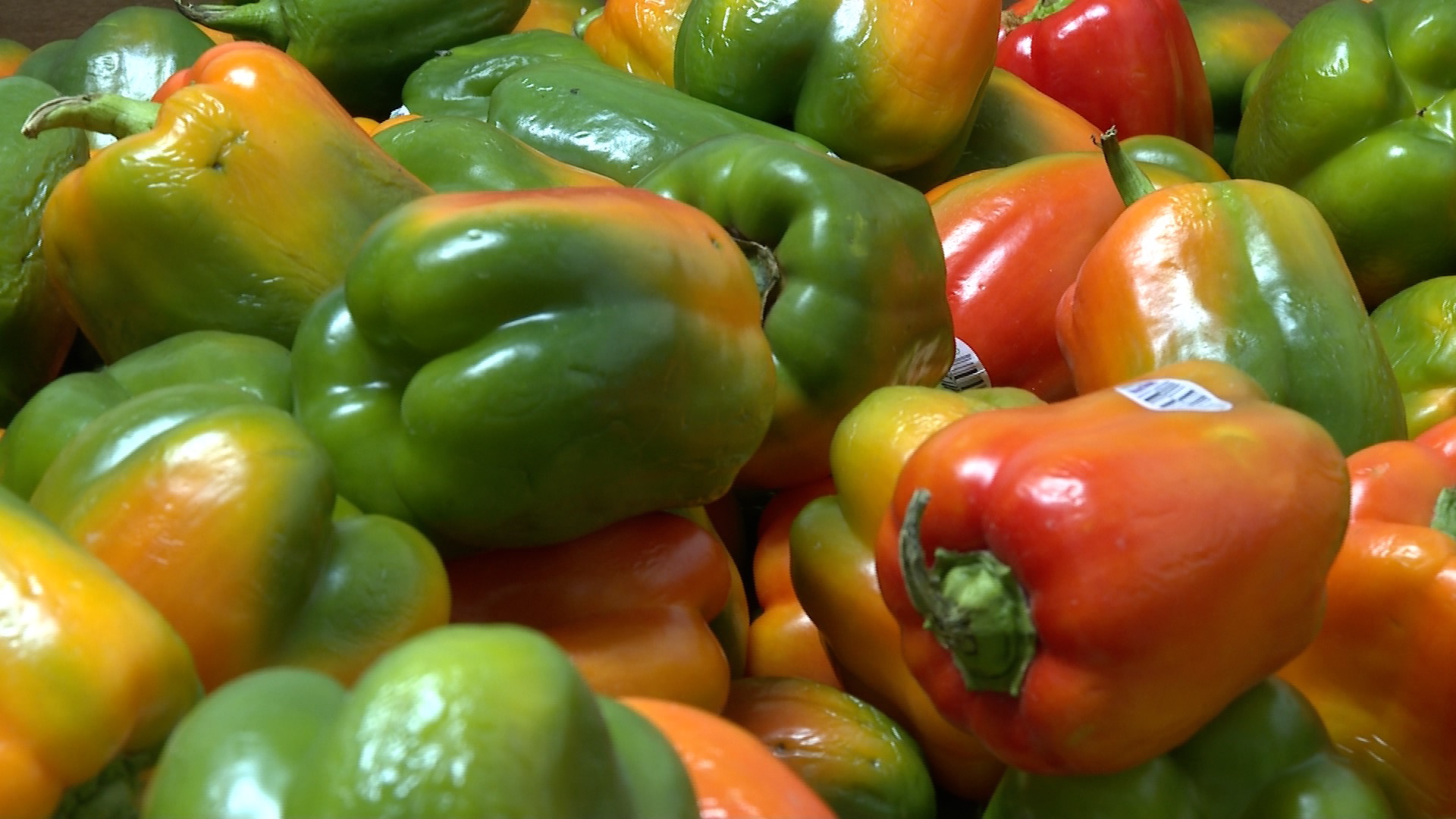 Peppers at Crossfire Ministries 