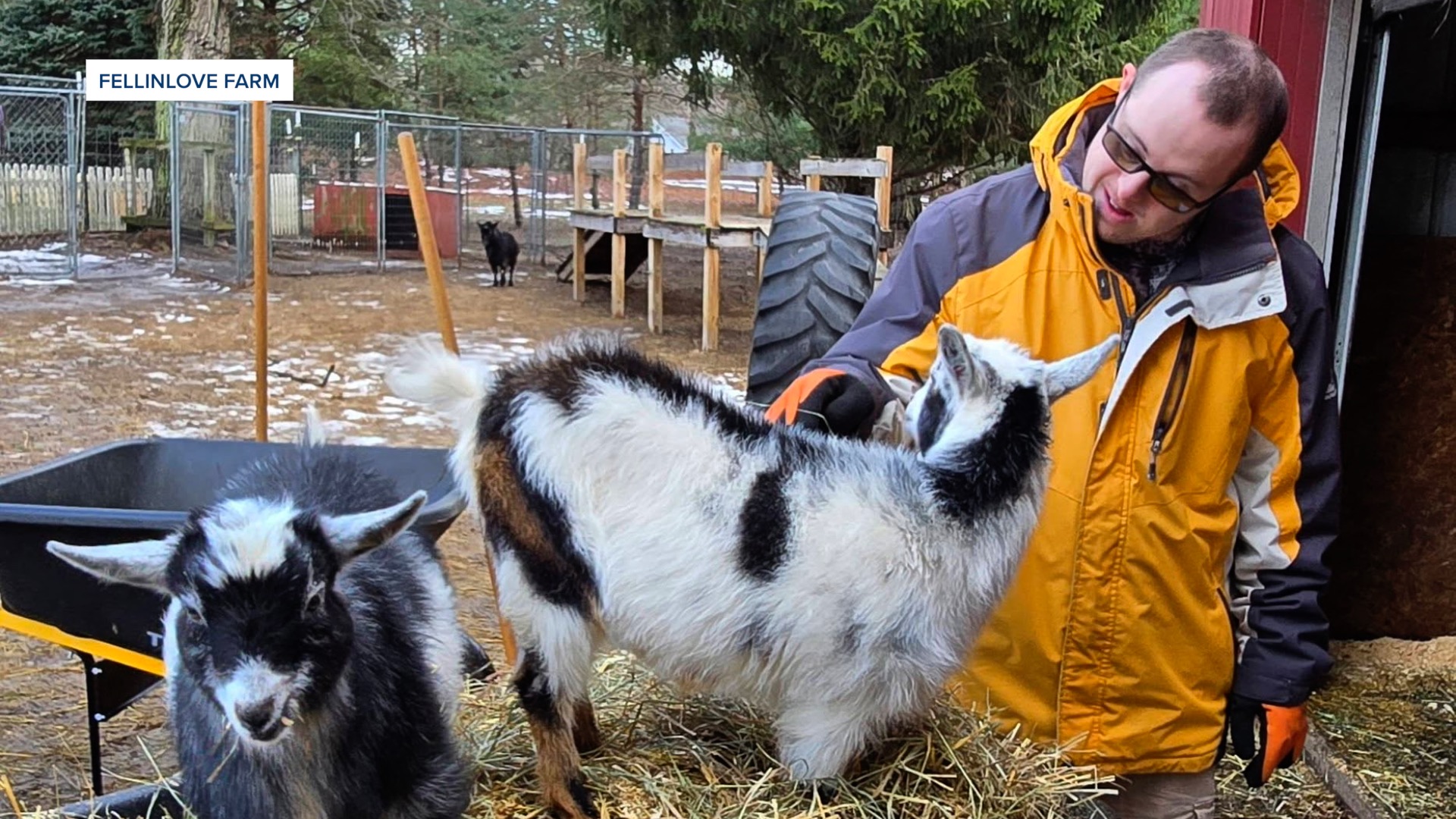 FELLINLOVE FARM2.jpg