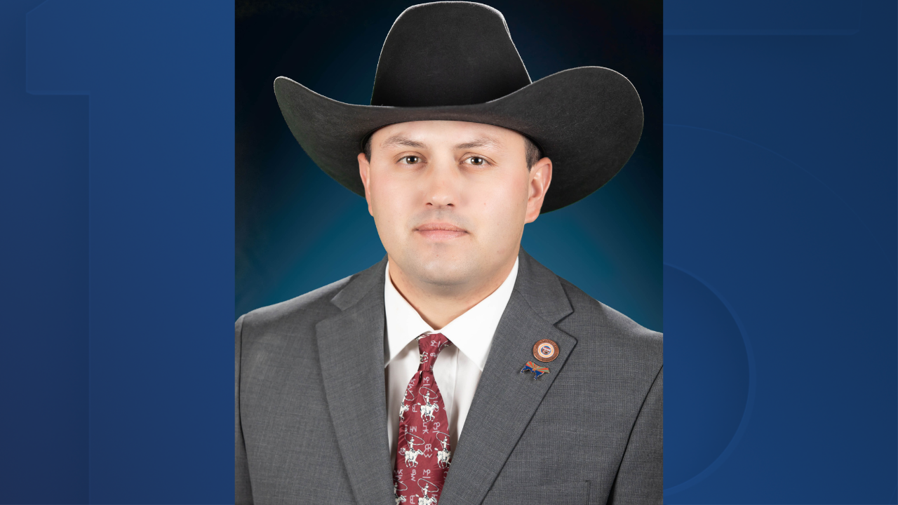 Austin Smith, Buckeye representative