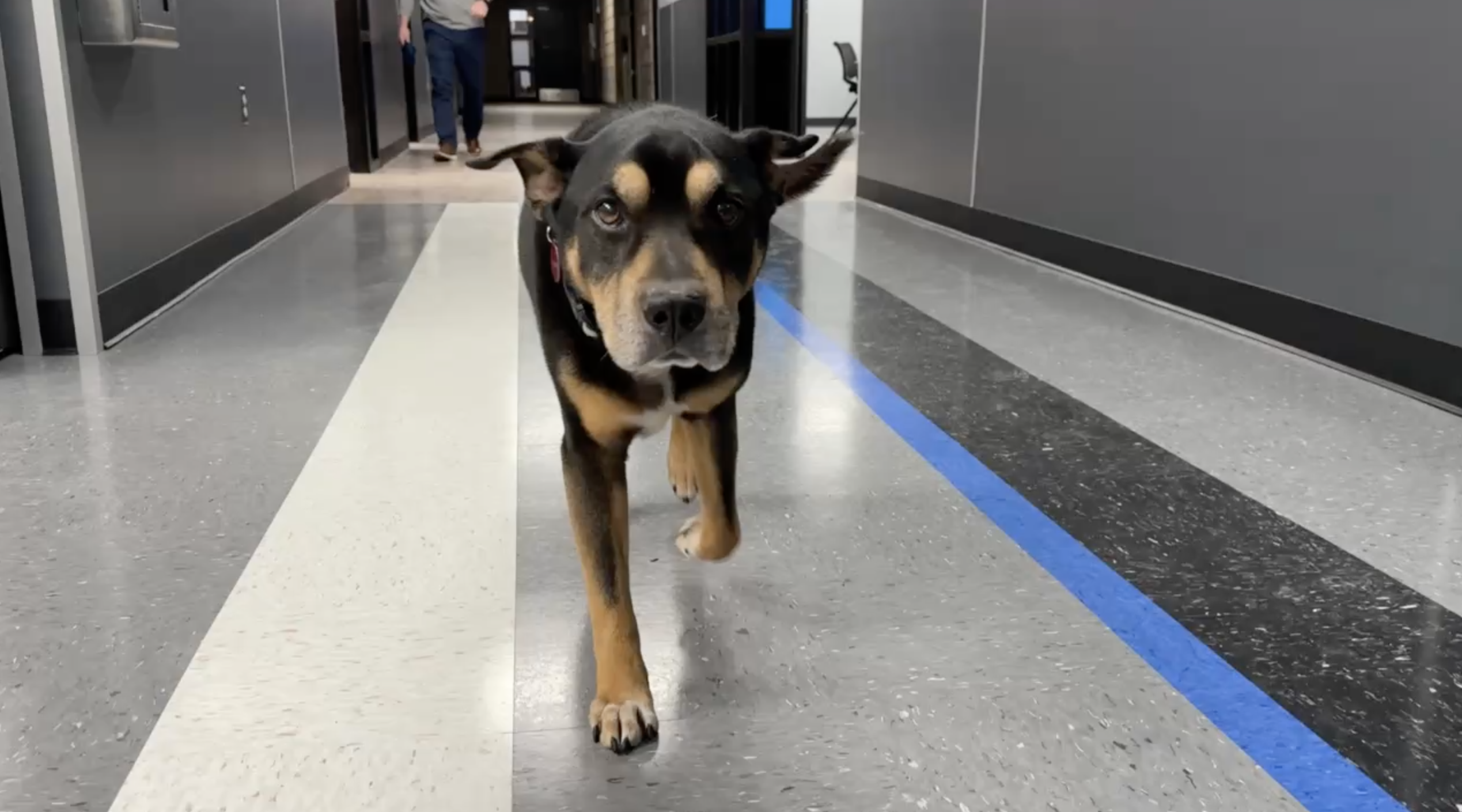 Screenshot 2026-02-19 at 5.38.50 PM.png