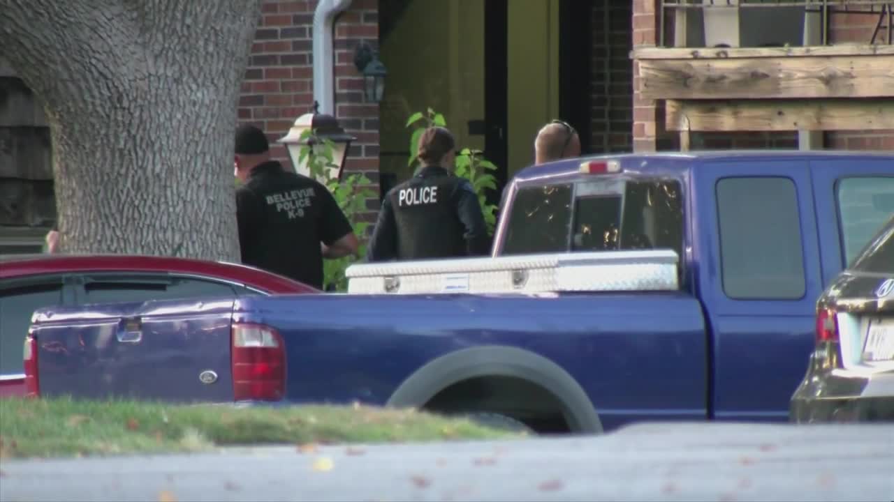 La Vista Police