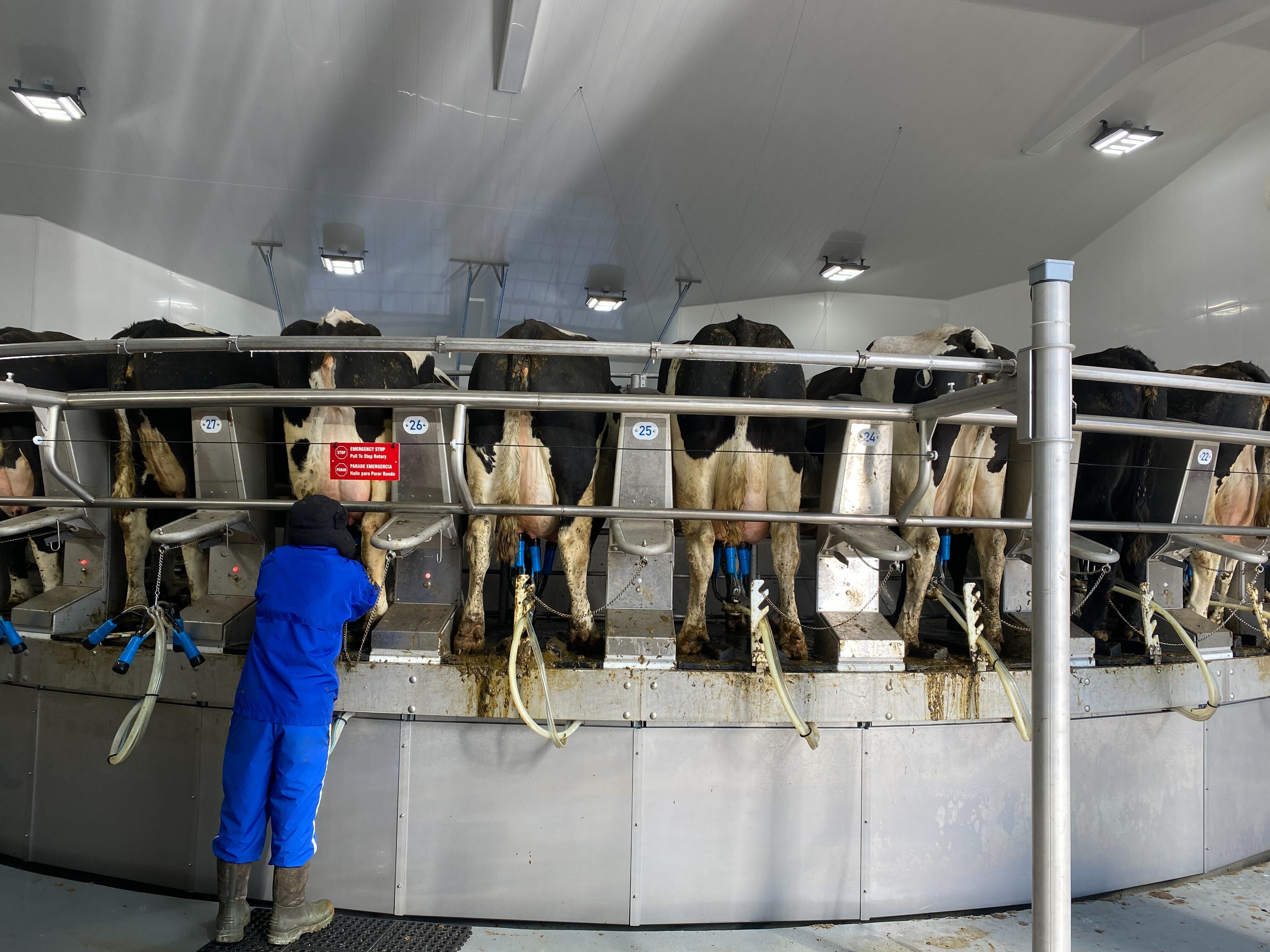 milk prices up