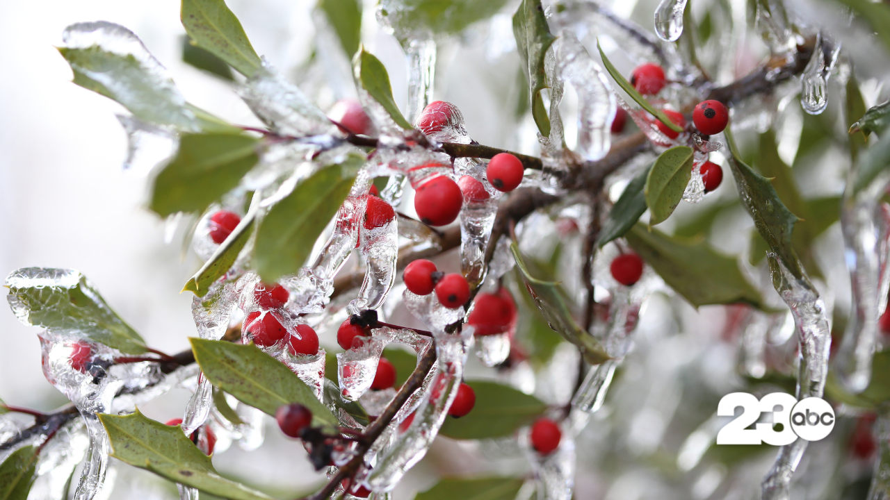 Ice, Freezing Rain (FILE)