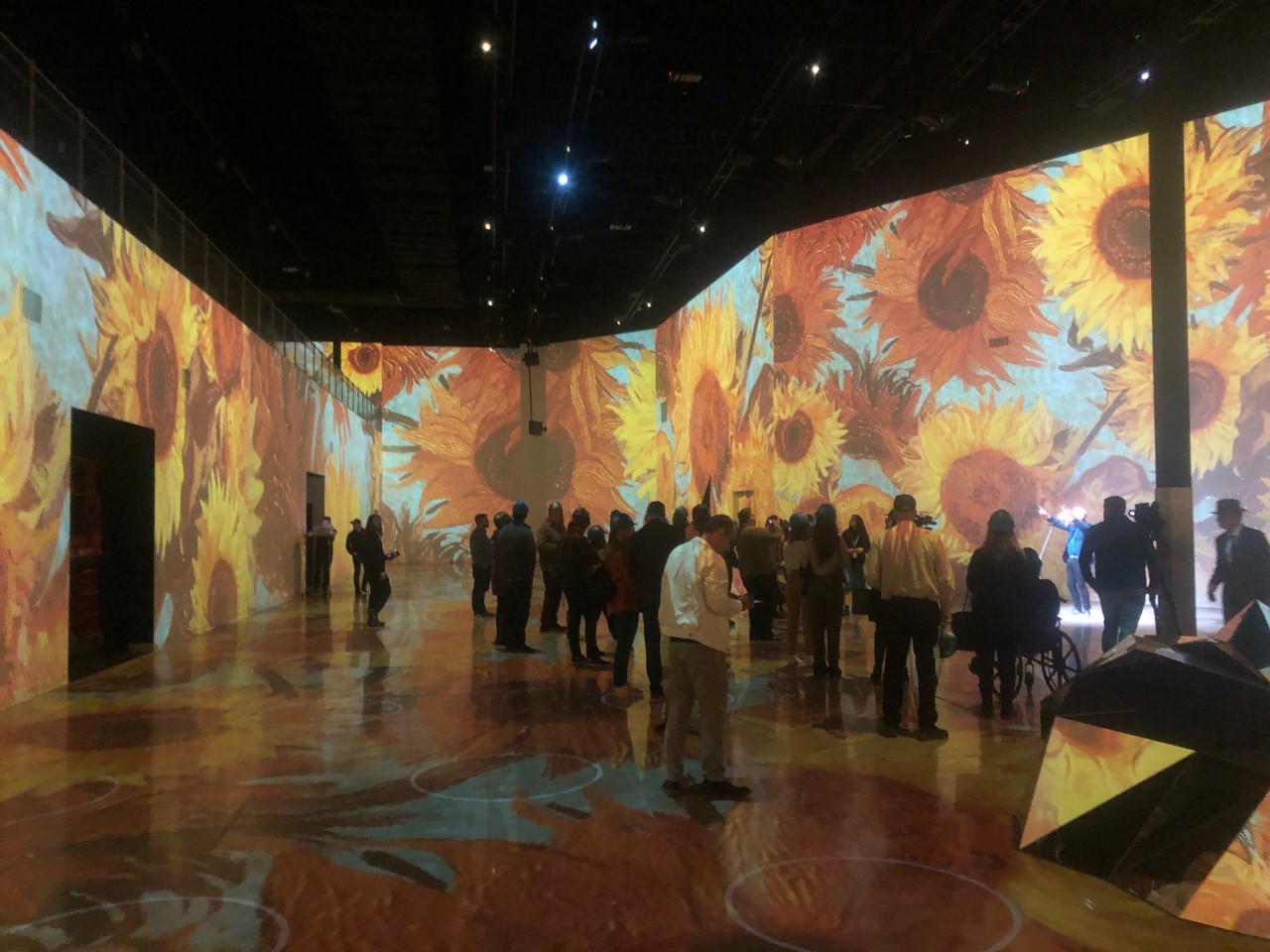 Van Gogh Preview Tour wideshot