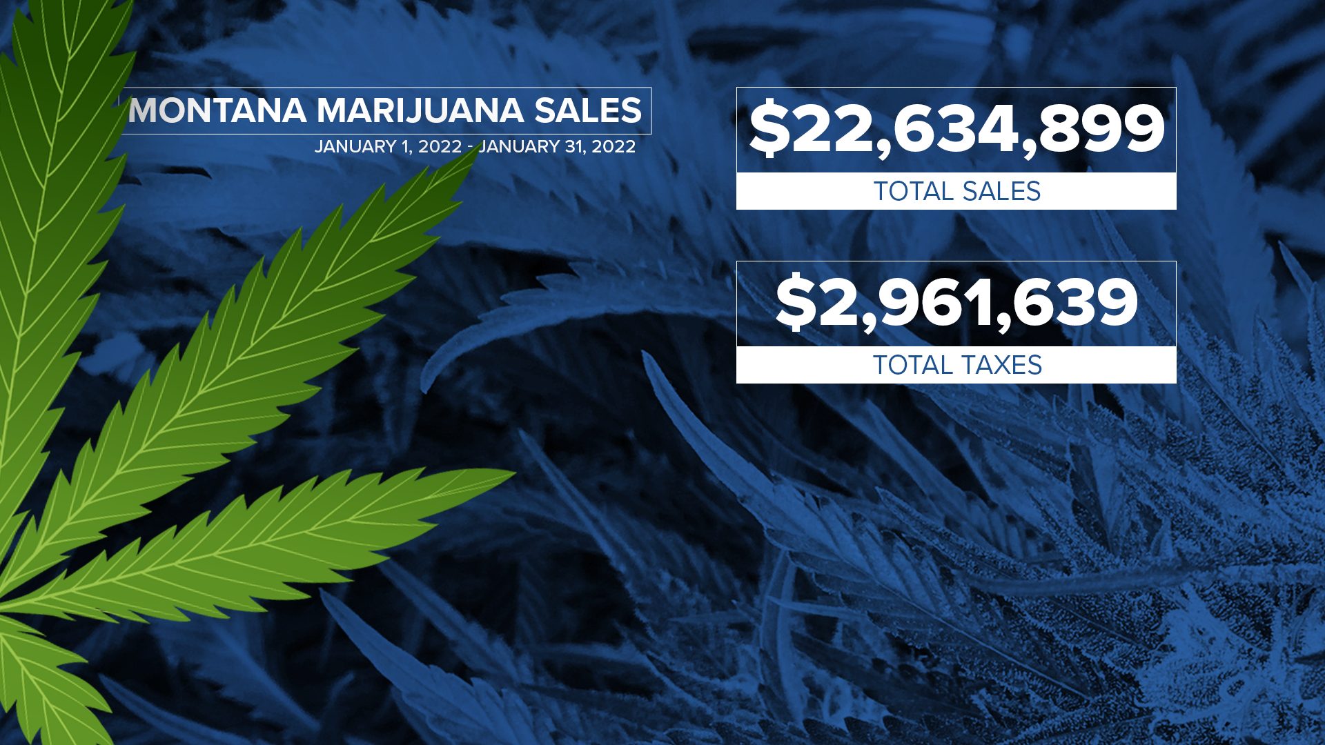Montana releases marijuana sales numbers for January 2022