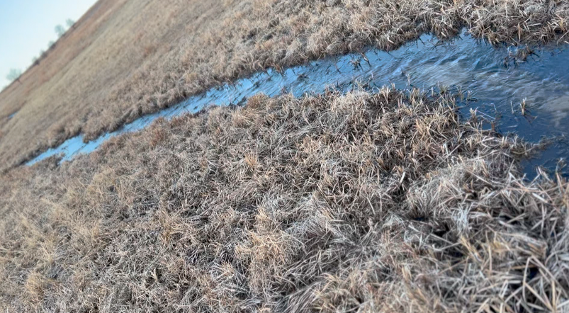 Conserving water: cattle rancher discusses use of CSU Extension's Drought Plans
