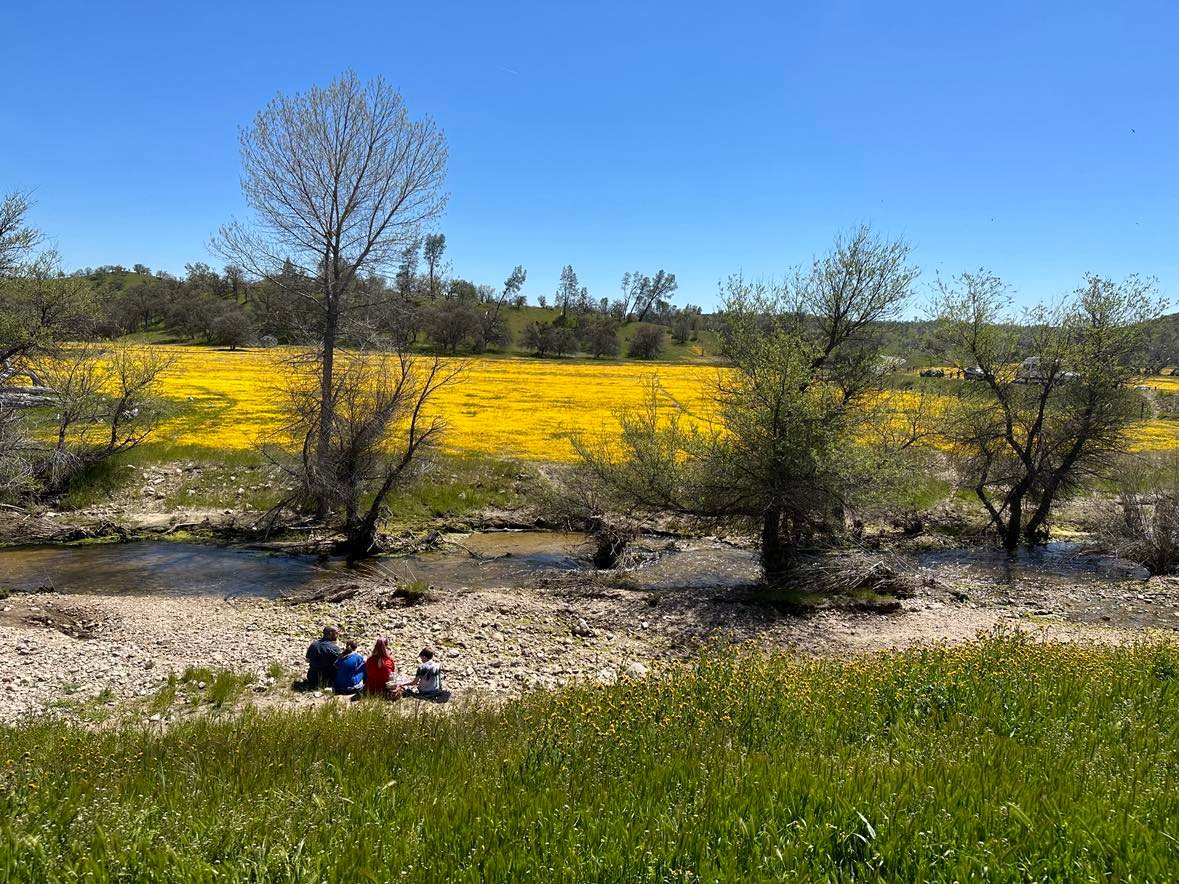 A Sunday spent at the superbloom