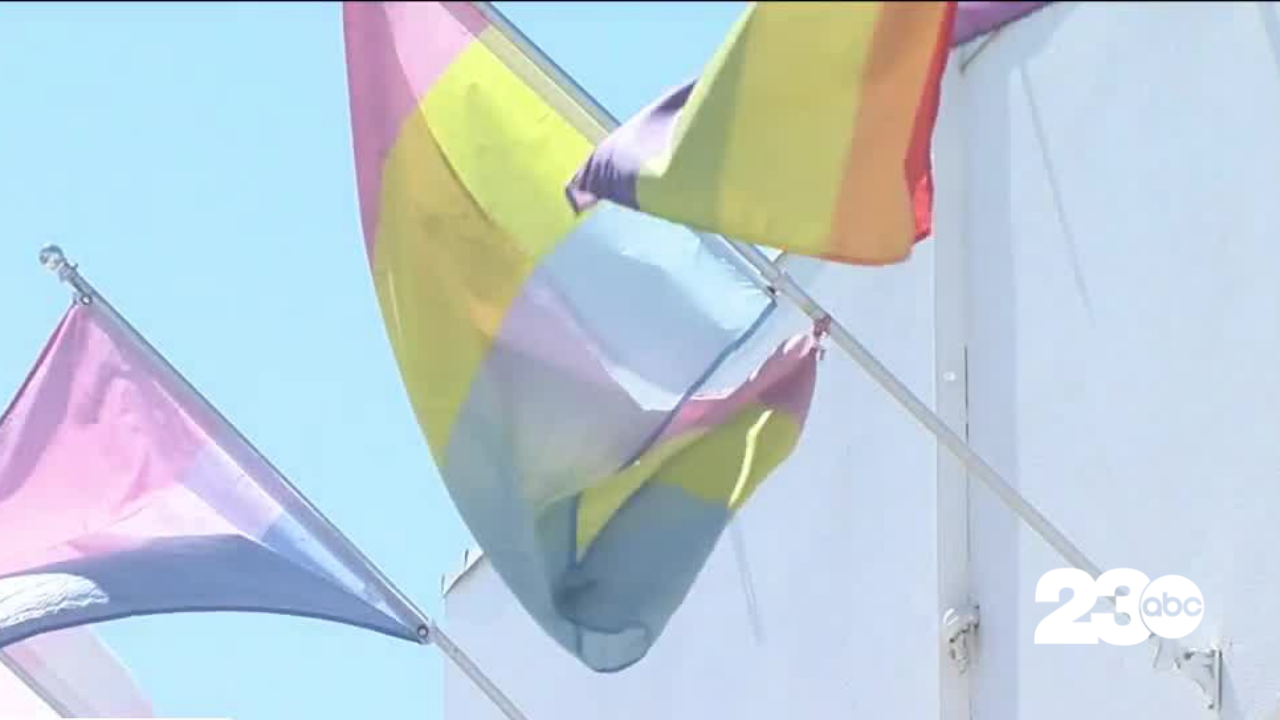 Pride Flags (FILE)