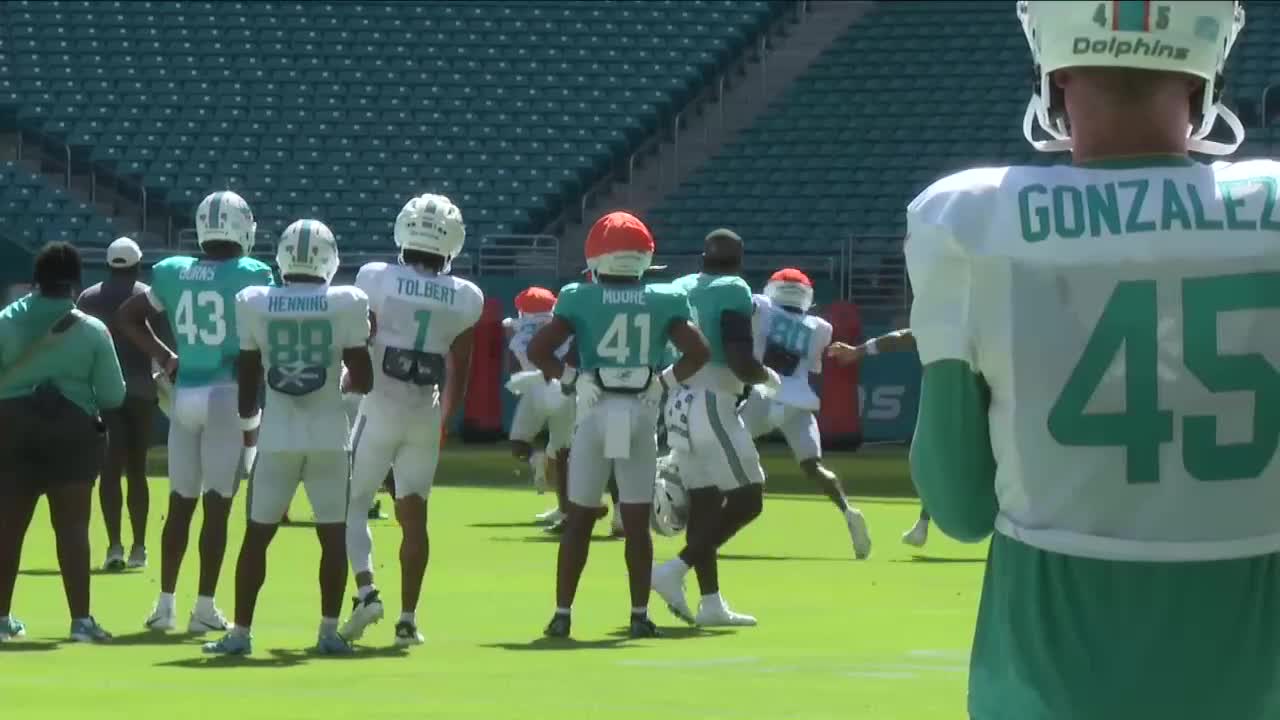 Dolphins preseason