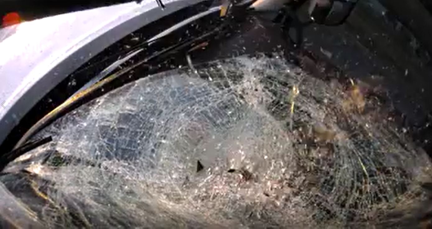 turkey windshield.JPG