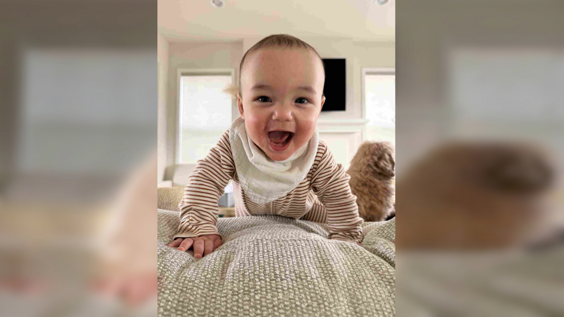The Gerber Baby for 2026, Cameron Chung from Minnesota