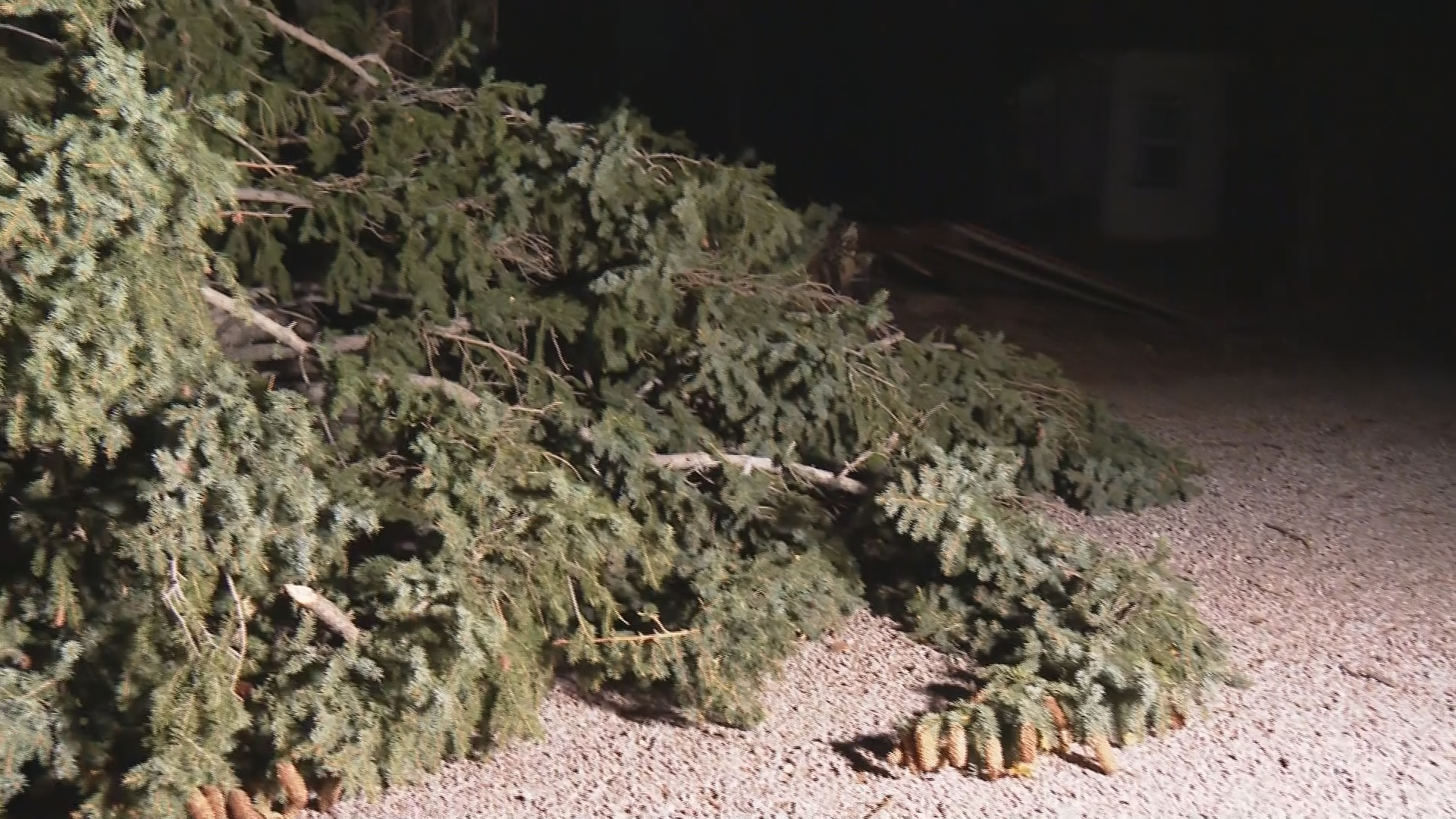 Clean-up process for wind storm damage is underway in Southern Colorado 