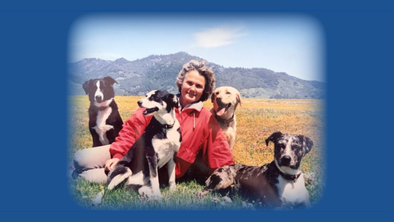 Melissa Wallace Brown
June 30, 1948 ~ March 27, 2026