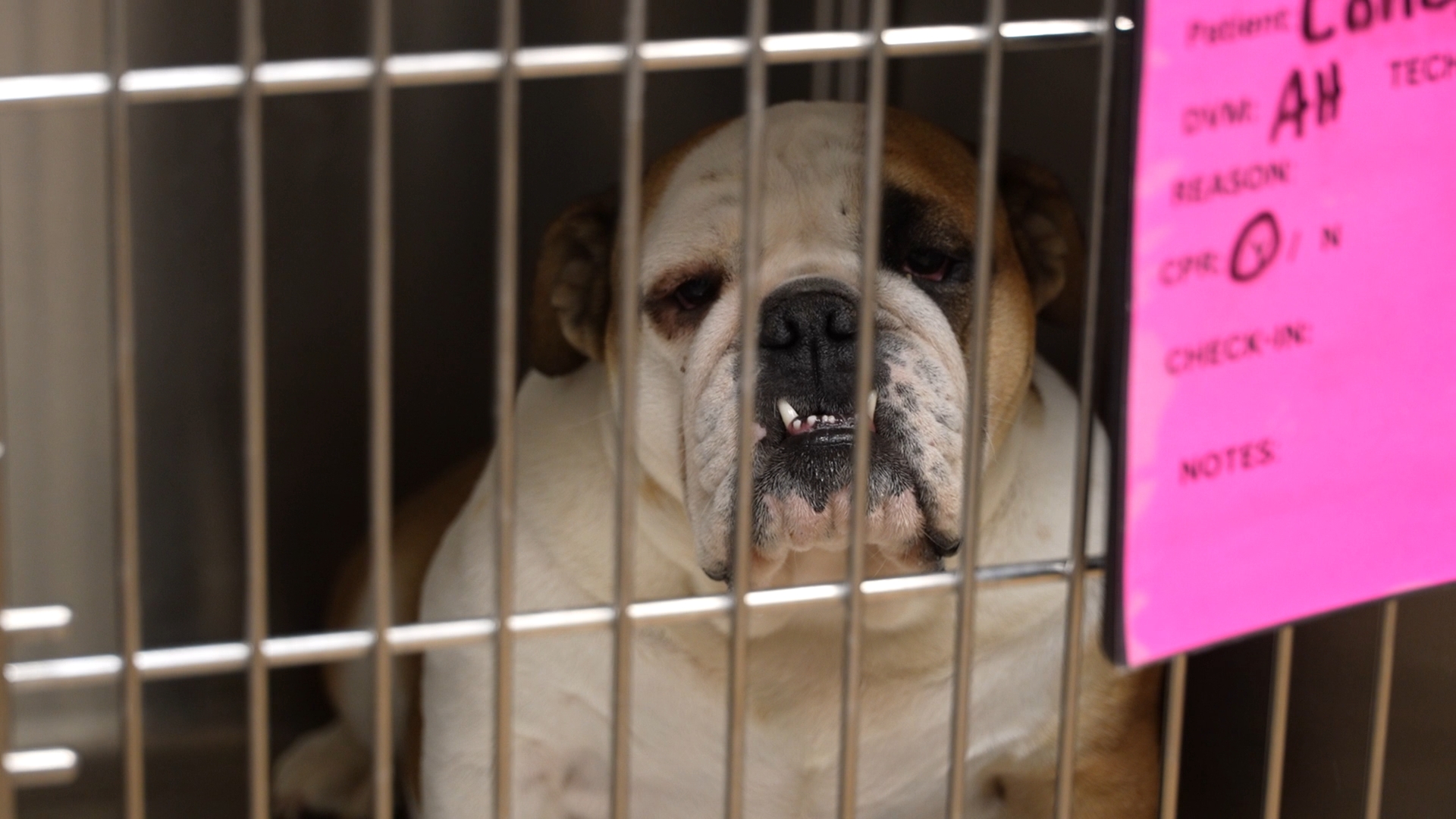 Still 2025-09-22 164211_2.6.1.jpg