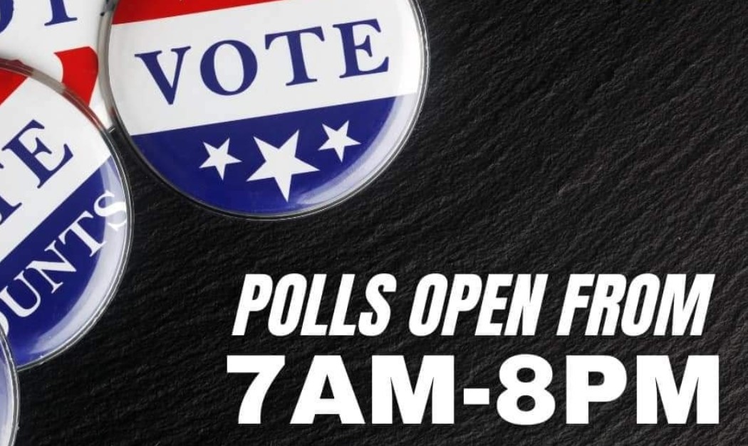 voting gfx.jpg