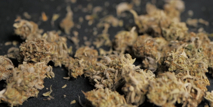 Texas THC Ban