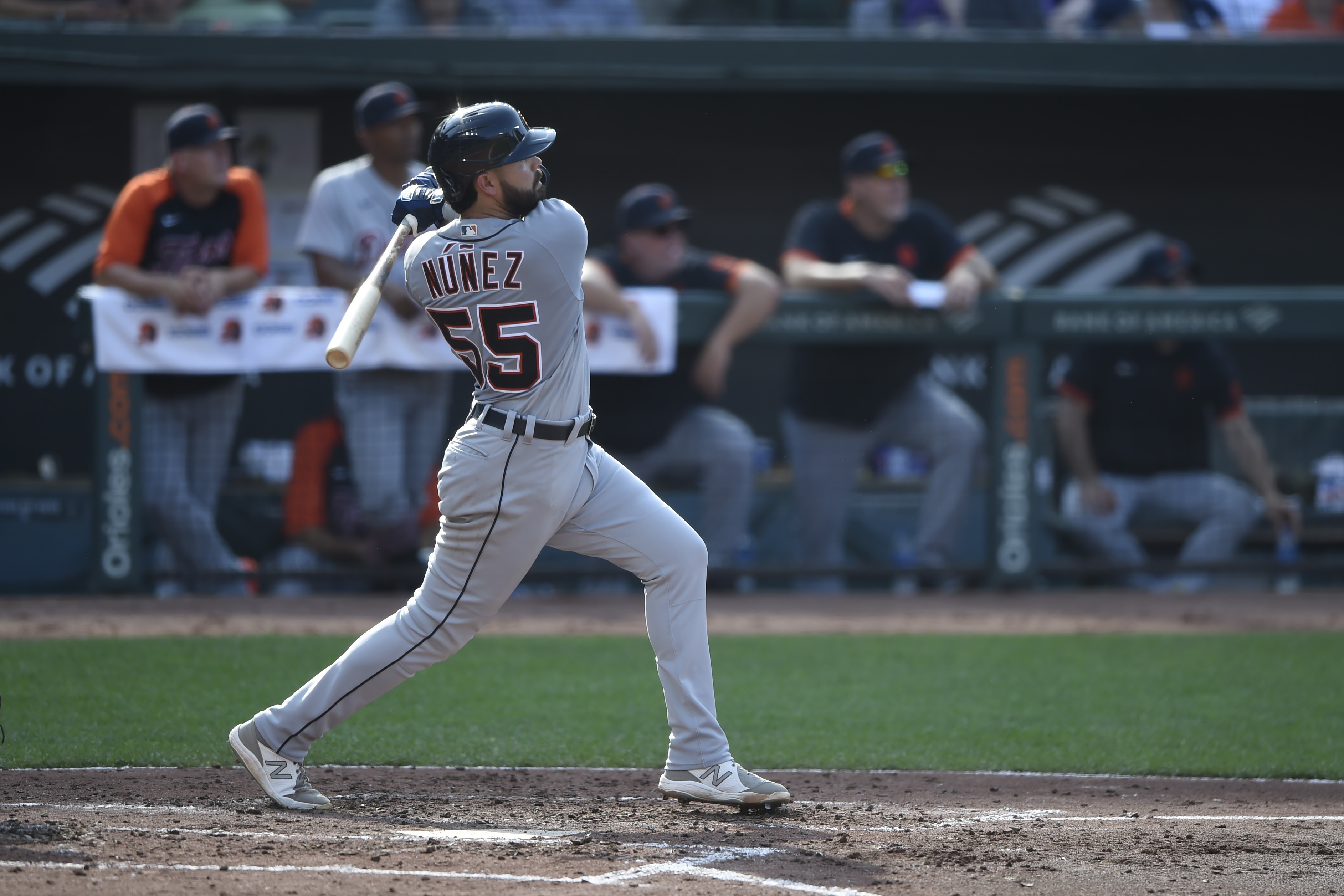 Renato Nunez Tigers Orioles Baseball