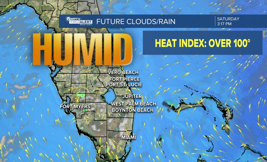 forecast.jpg
