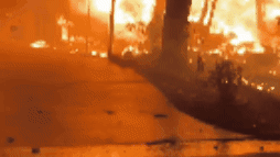 Plane Crash Scene in Clearwater