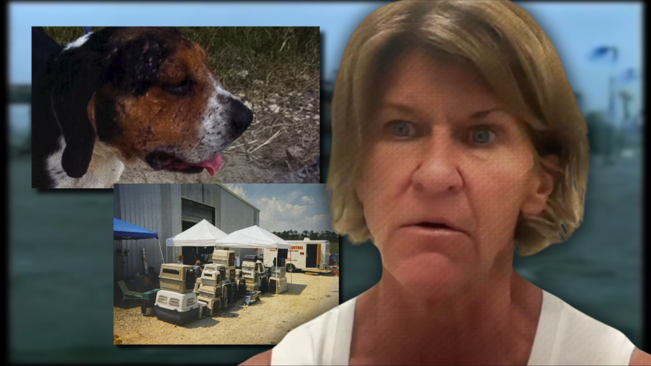 Katrina Pet Supply