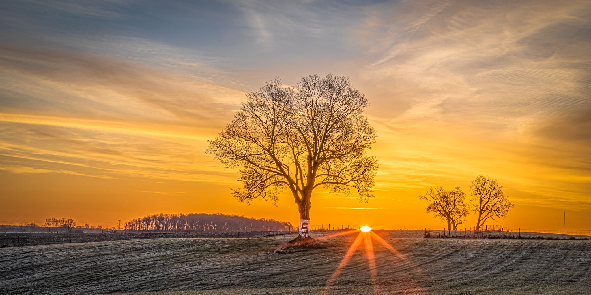 2022 City of East Lansing community photo contest winner