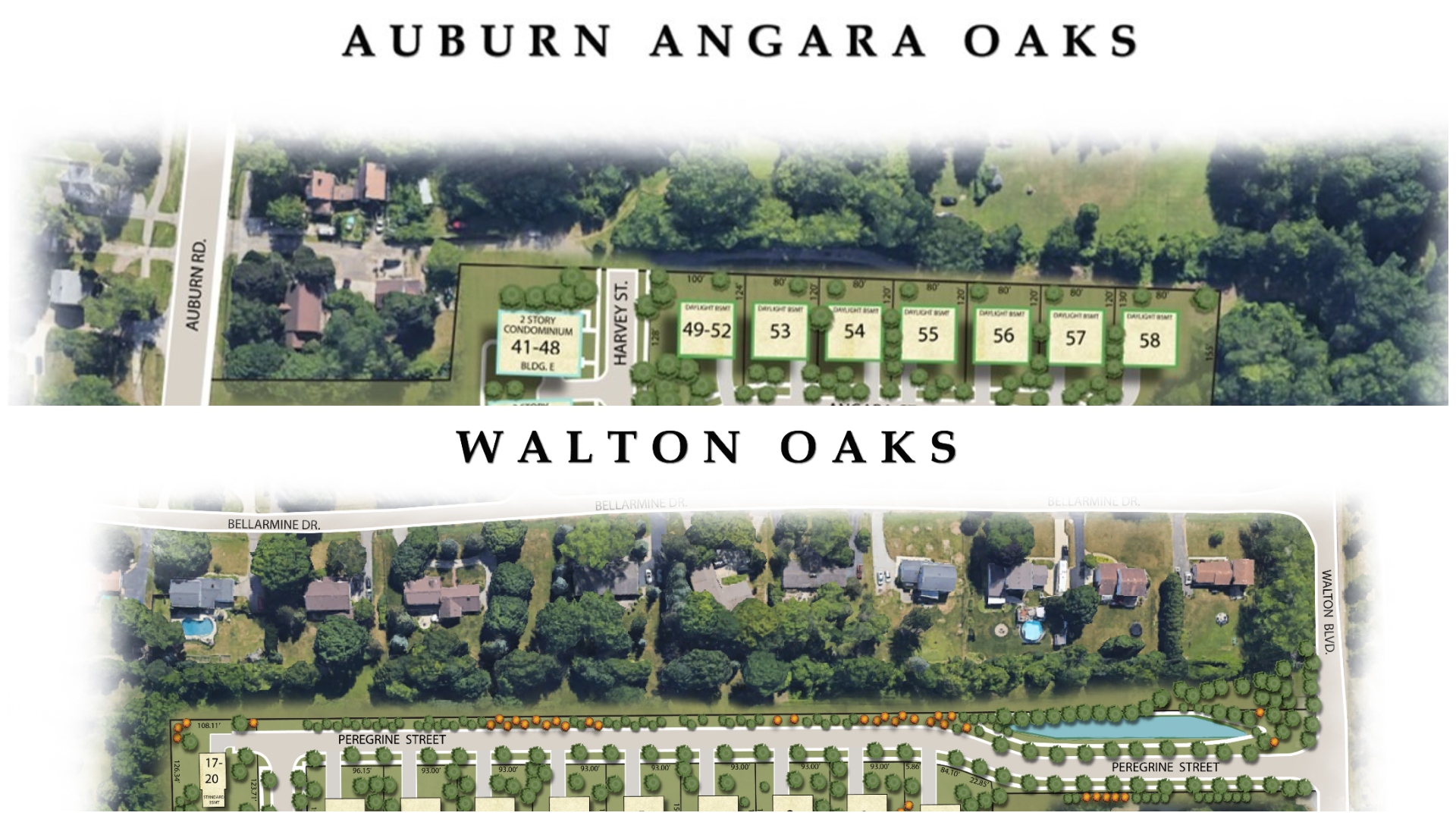 photo-collage.png (3).png