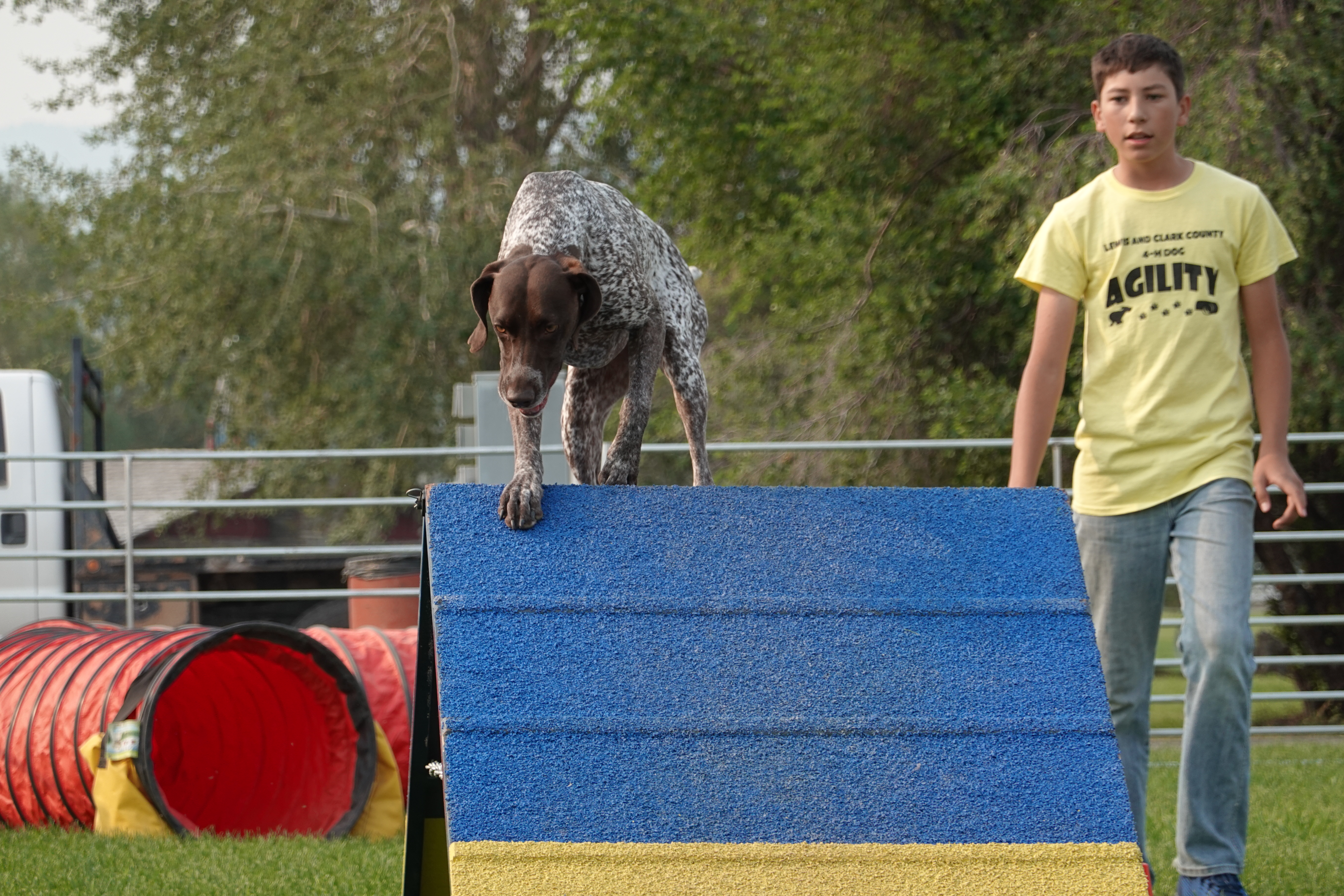 Two and Four-Legged partners take on 4-H dog agility competition - Vimarsana News