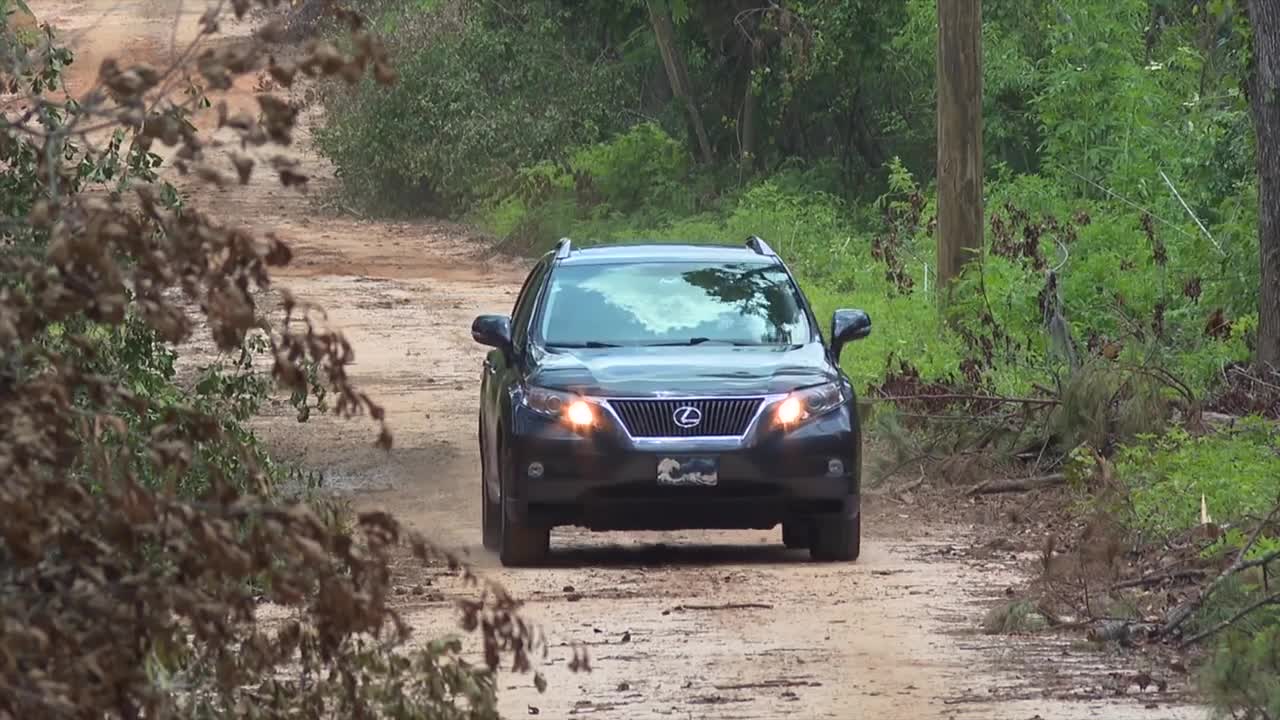 Kenya Cardonne