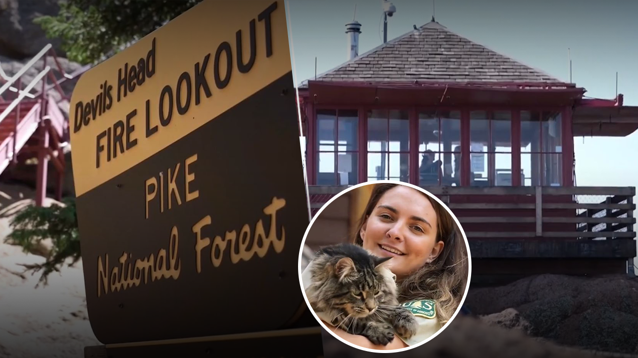 Fire Lookout