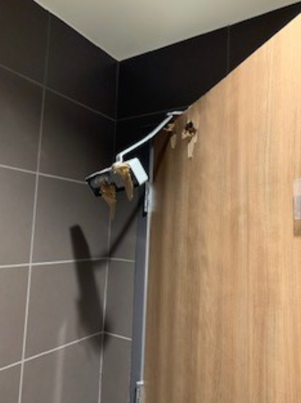 Temper Tantrum Damages Bathroom Door.png