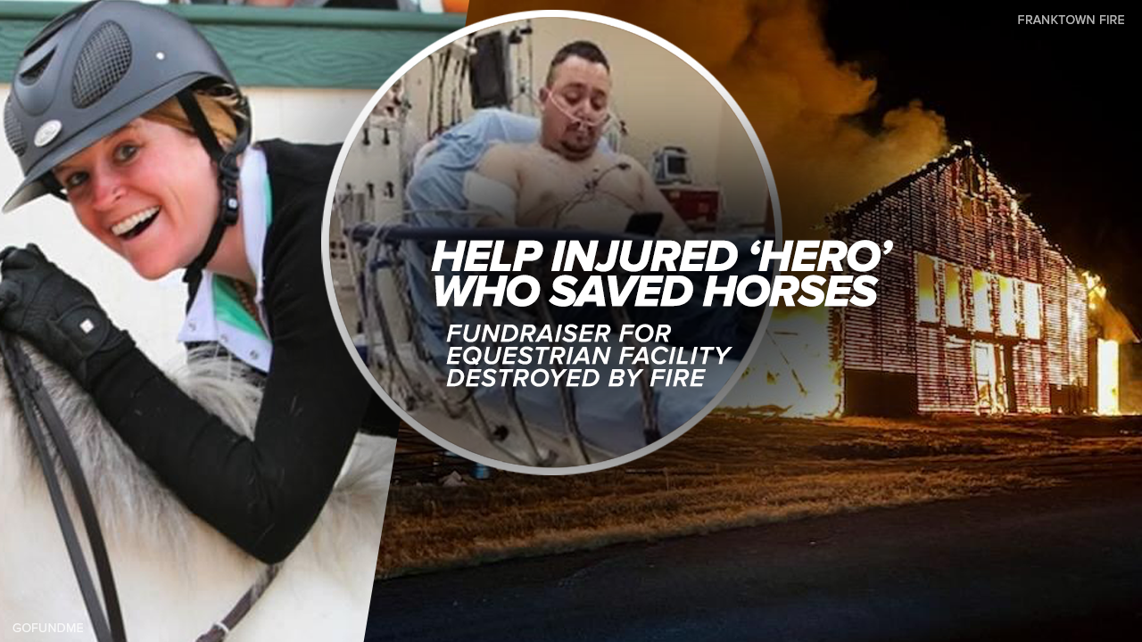 HORSEGOFUNDME.png