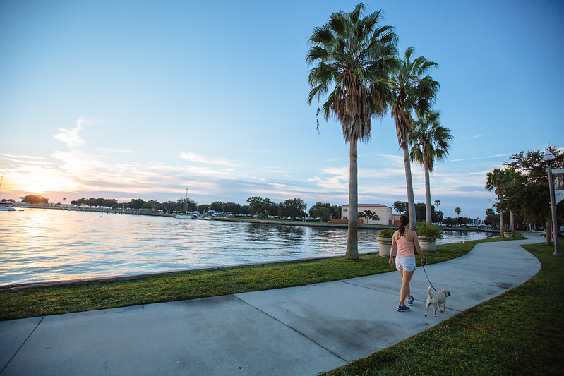St Pete.jpg