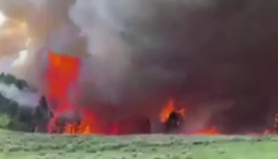 goose fire.jpg
