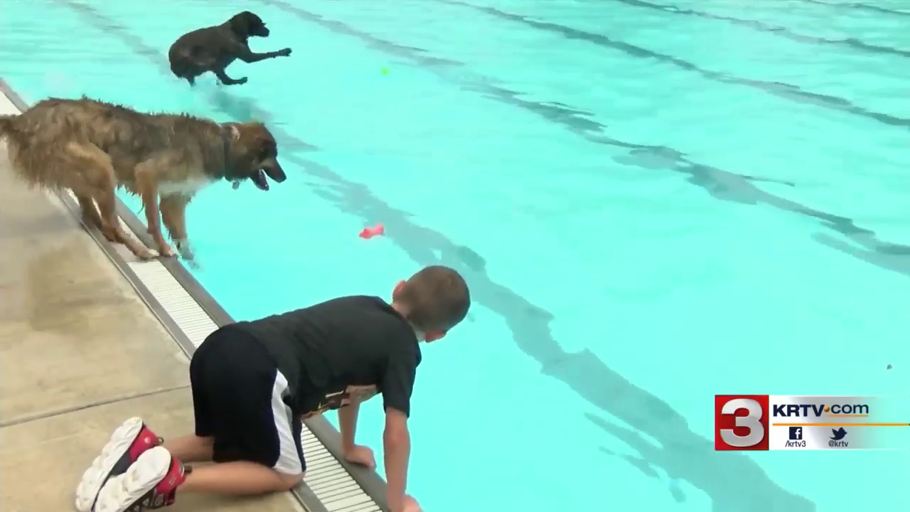 "Drool In The Pool" in Great Falls