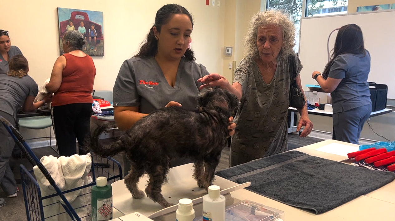 Stress-Free Sundays Hillsborough Co.PNG