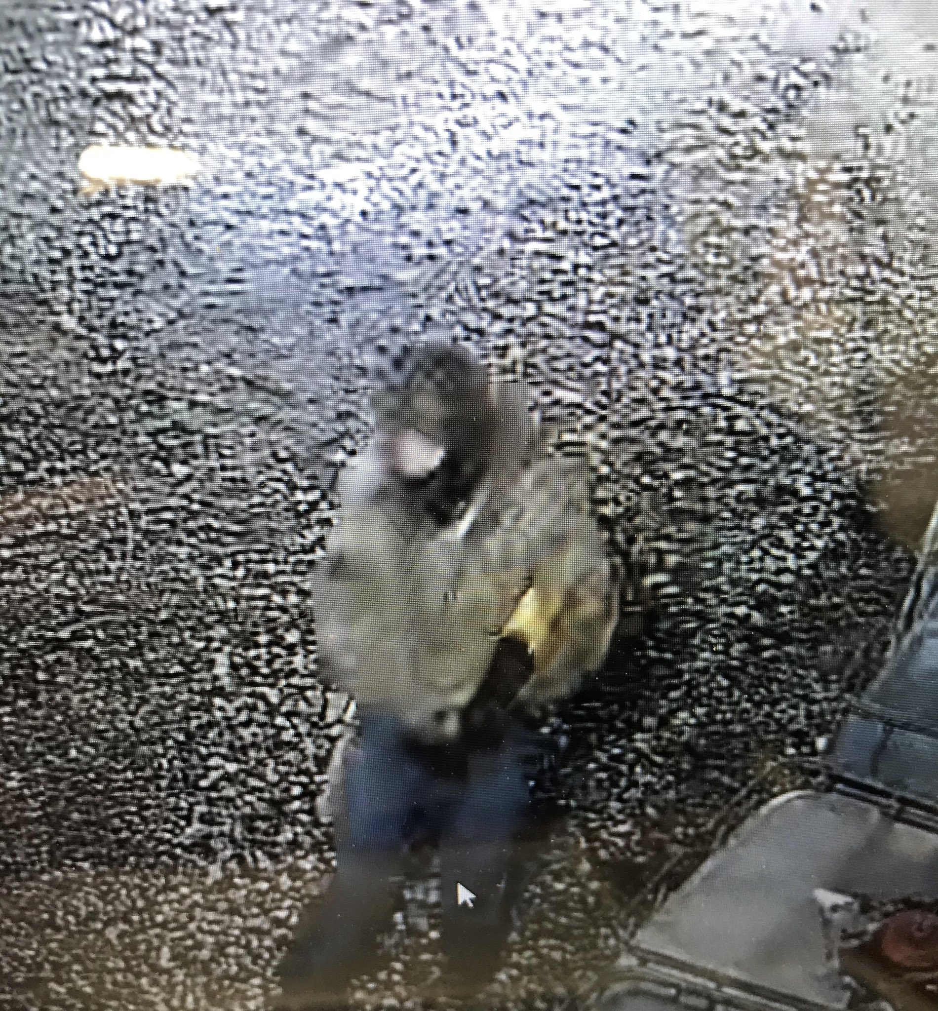Catalytic Converters theft 1.jfif