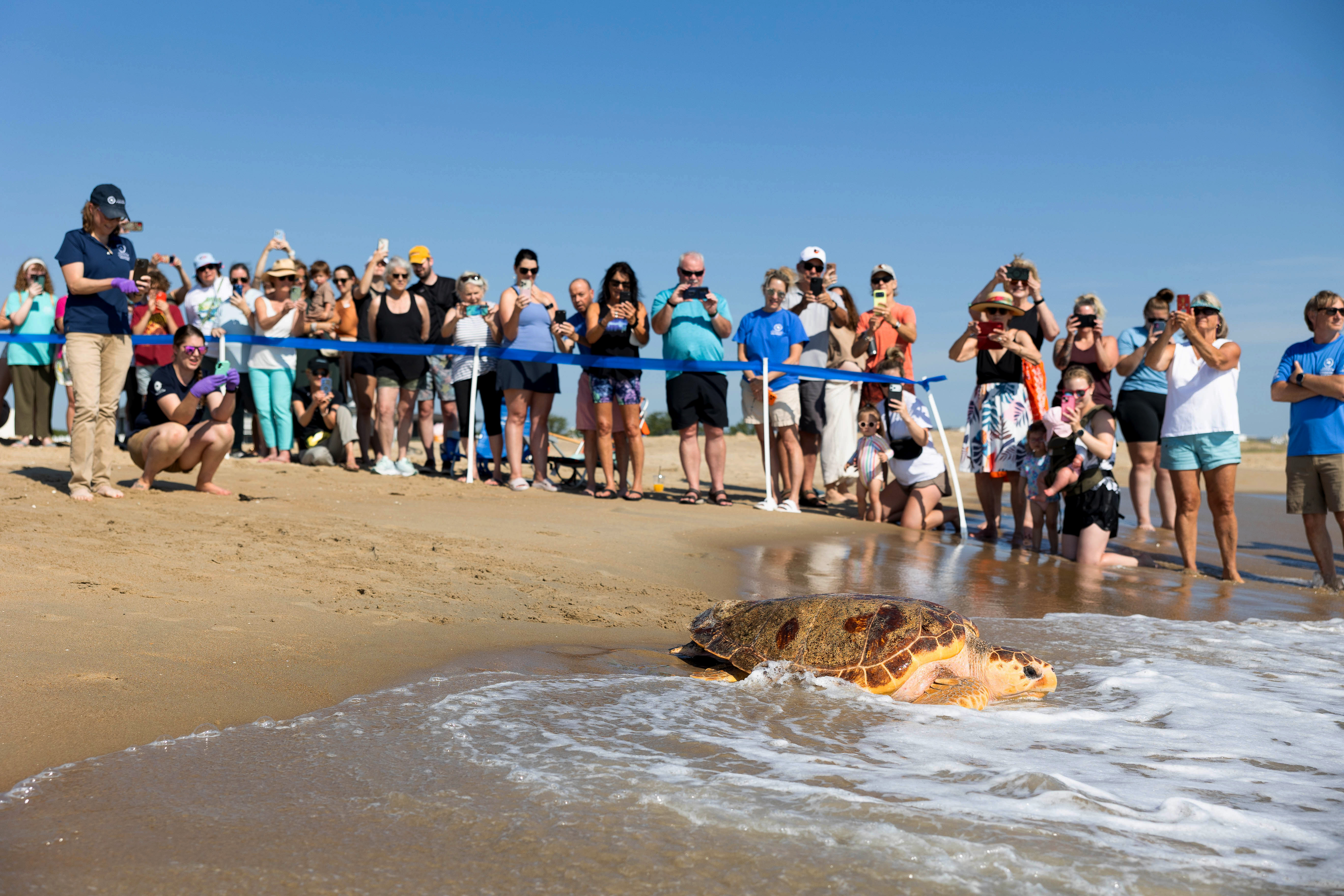 05-19-2026-Diamond--Loggerhead--Release-3716.jpg
