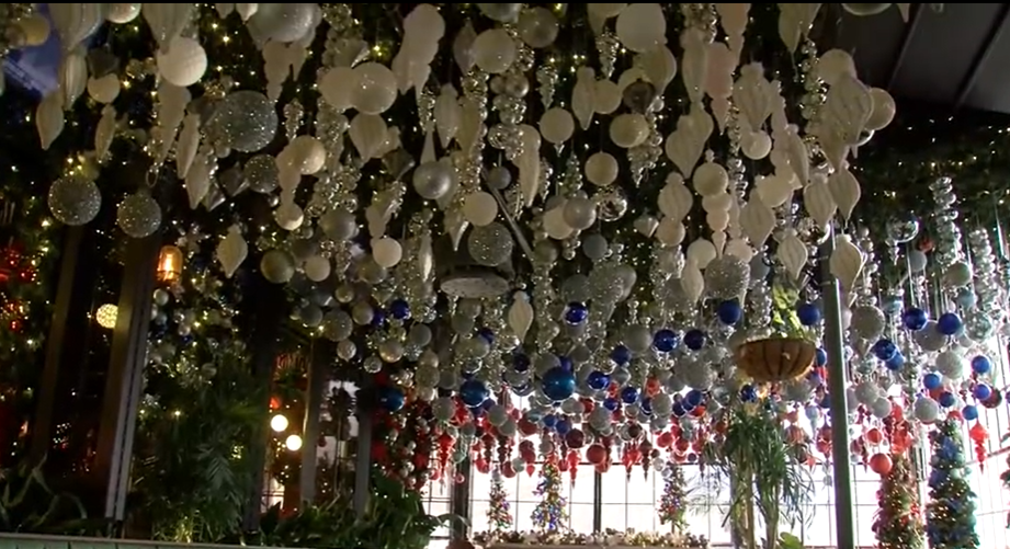 Holiday decorations, lights on display at Roosevelt's on Cherry Street