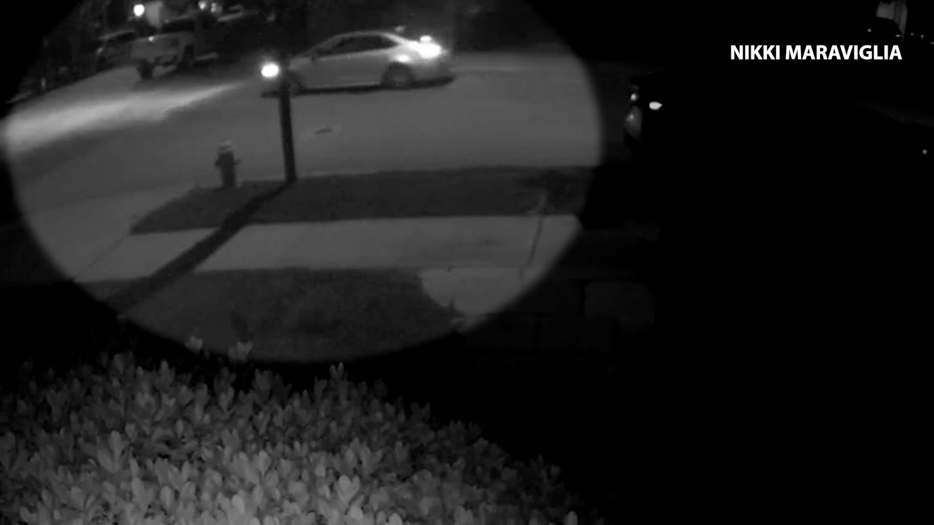 Although Maraviglia didn’t get a flyer her camera captured a vehicle roaming her neighborhood on Tuesday night.