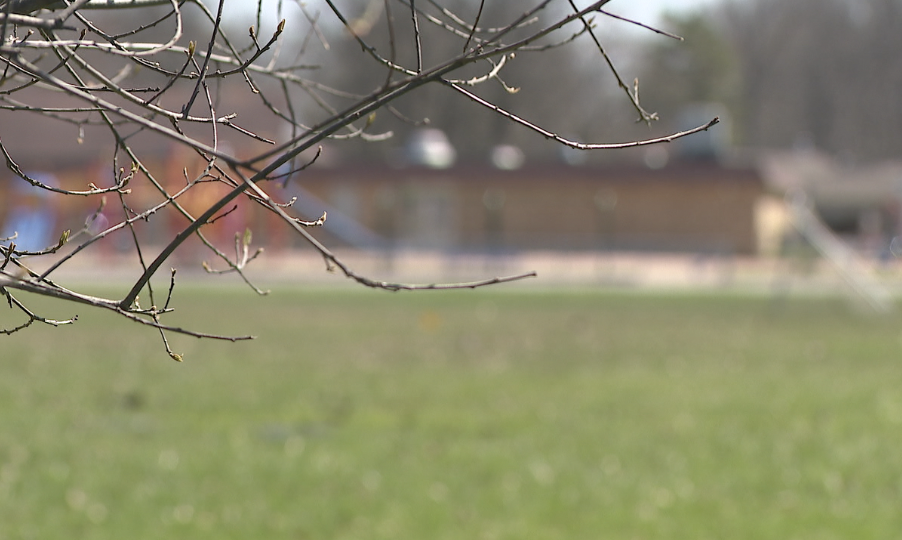 strongsville Schools 