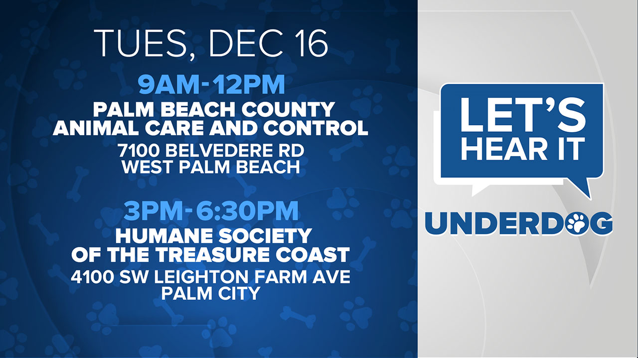 Visit WPTV at either Palm Beach County Animal Care and Control near West Palm Beach from 9 a.m. to noon or the Humane Society of the Treasure Coast from 3 p.m. to 6:30 p.m. on Dec. 16, 2025.